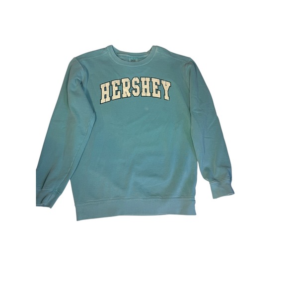 Vtg Comfort Colors Hershey Sweatshirt Small Green Garment Dye Crewneck Pullover - Picture 5 of 8
